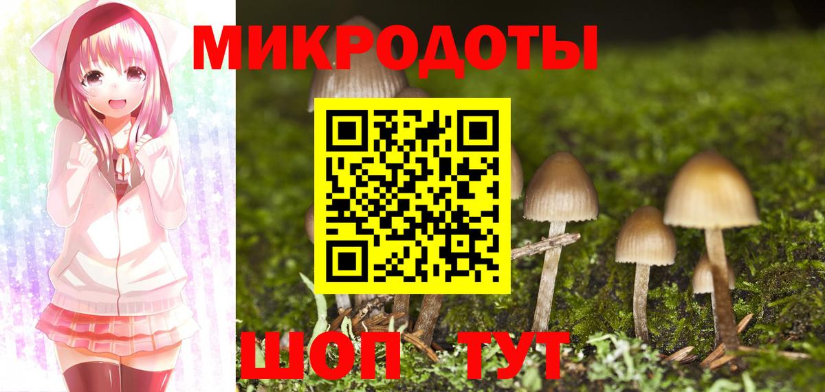 Нарткала  Псилоцибиновые грибы Magic Shrooms  Вход с VPN 